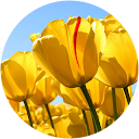 Fatima Zahra Bouzidi Belhaj Fatima Zahra Bouzidi Belhaj