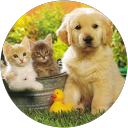 Non-of your business Non-of your business