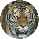 Robert Fabreg Robert Fabreg